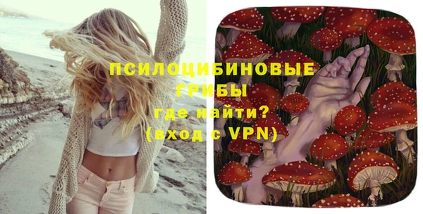 скорость Богородицк