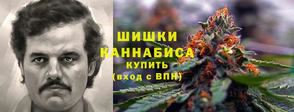 дурь Богородск