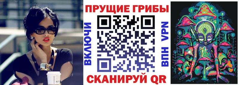 Псилоцибиновые грибы Psilocybine cubensis  Козловка 